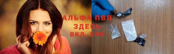 spice Алзамай