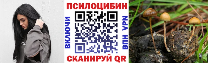 Псилоцибиновые грибы GOLDEN TEACHER  Цивильск 