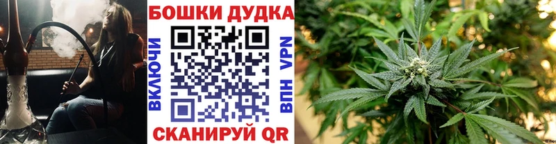 сколько стоит  Цивильск  Шишки марихуана индика 